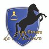 Logo of the association Les Etriers de l'Histoire